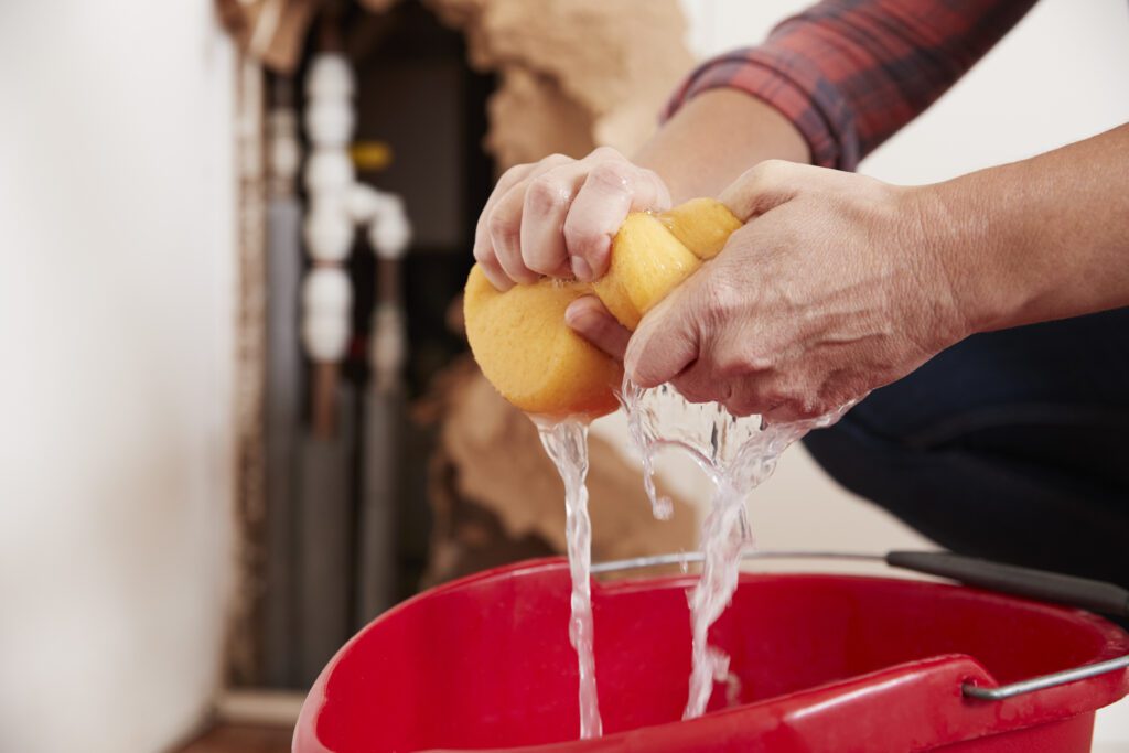 Woman wringing water out of a sponge into a bucket